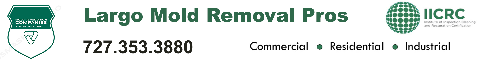 Largo Mold Removal Pros