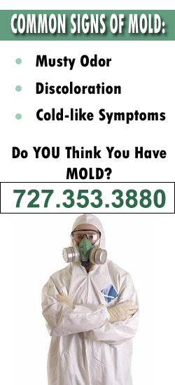 Largo Mold Remediation Contractor